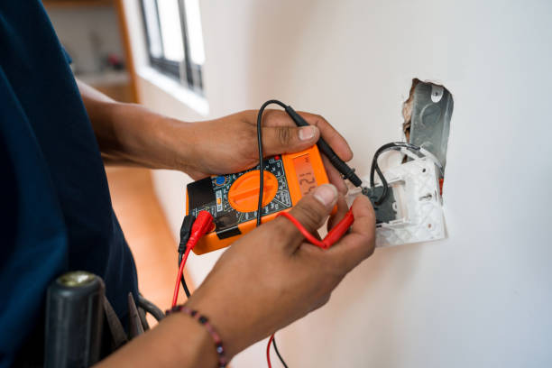 Best Electric Panel Repair  in Seminole, FL